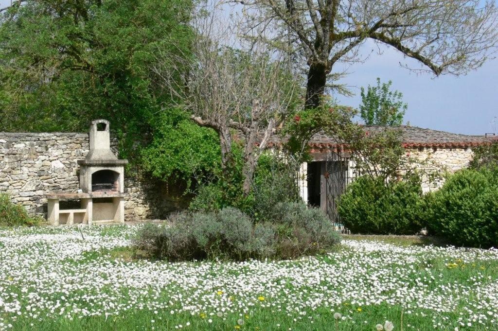 La Maisou-Pastel Et Fleur Sérignac 外观 照片